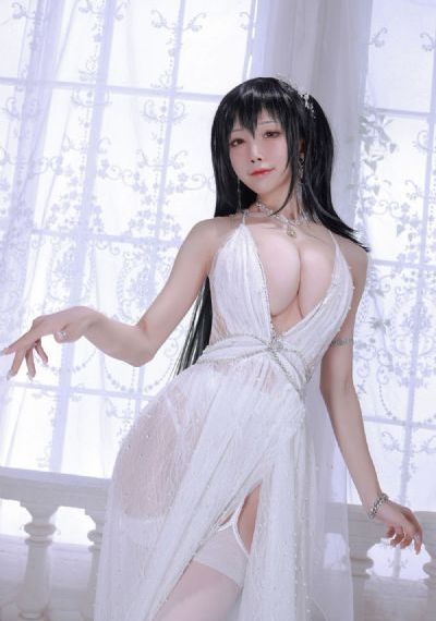 九重紫多少集