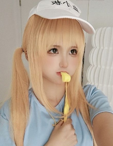 大明王朝1566电视连续剧